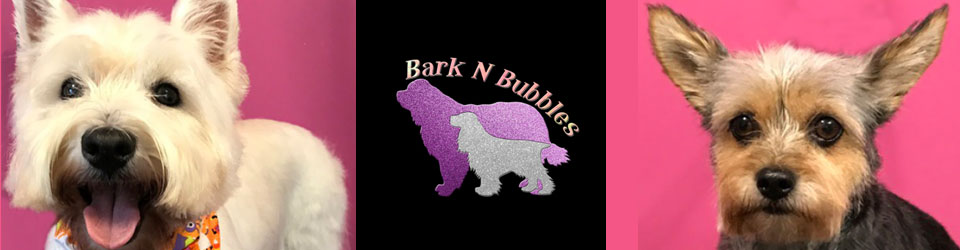 Bark 'n' Bubbles - Professional Dog Grooming and Spa, Gloucester