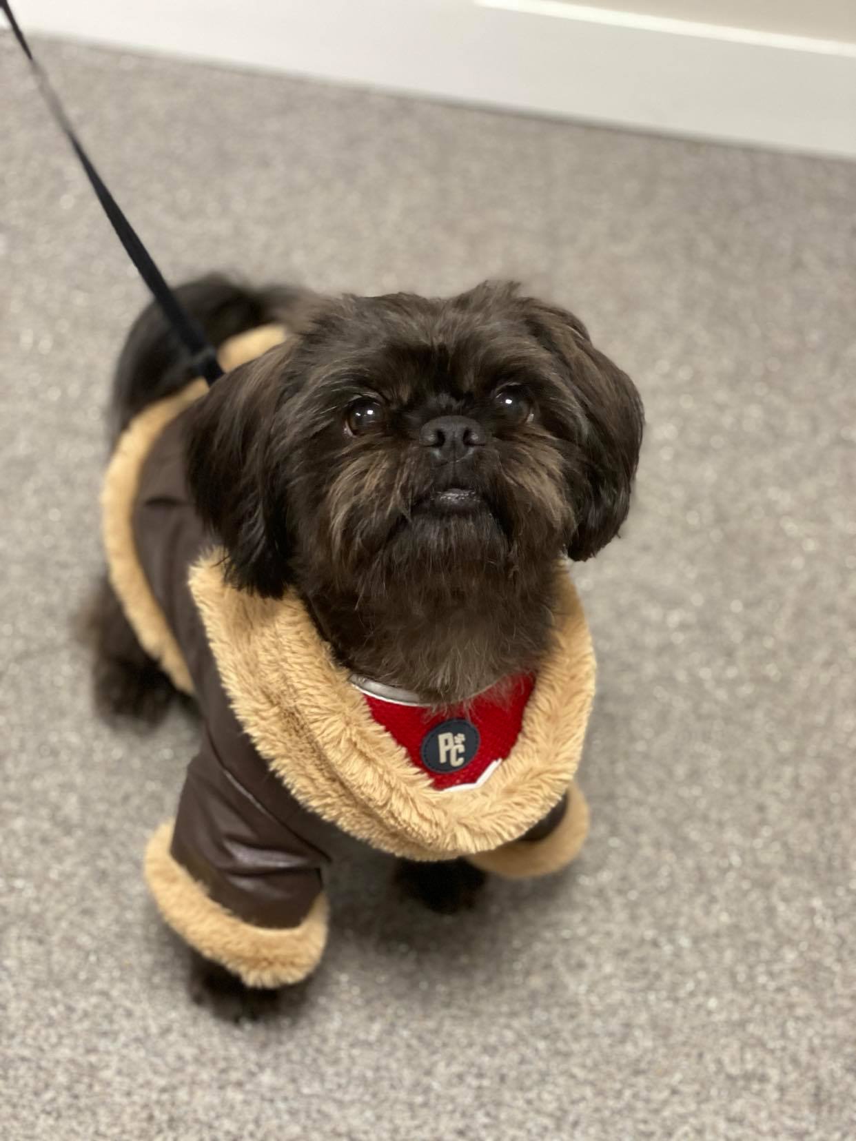 Gallery Bark 'n' Bubbles