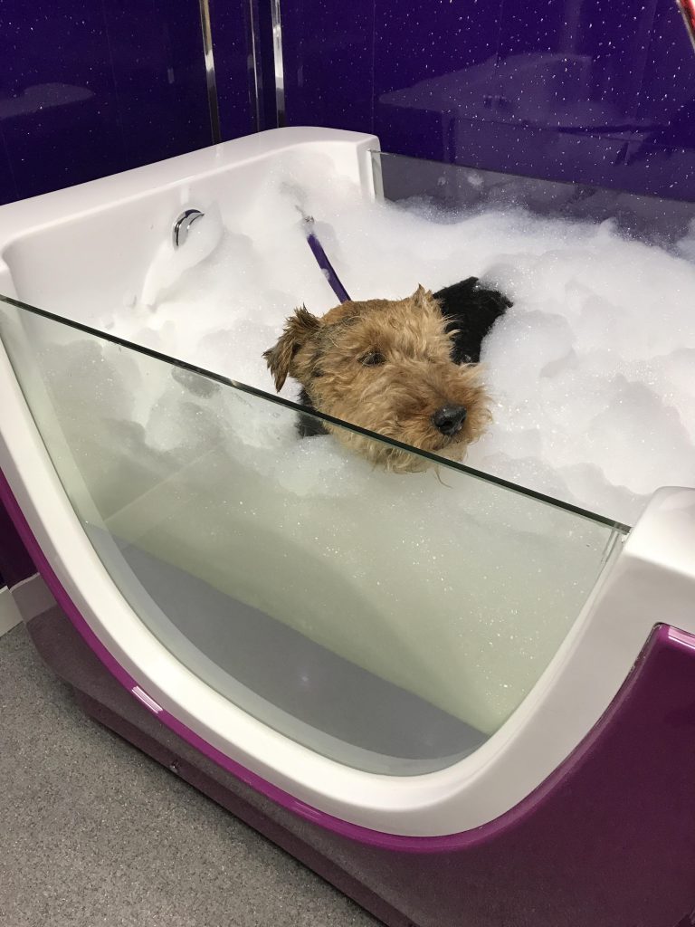 The Jacuzzi Bath is here! Bark 'n' BubblesProfessional Dog Grooming